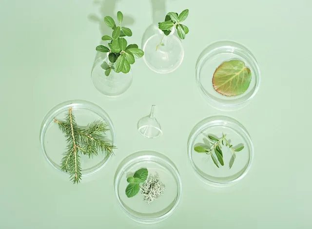  Luxury, Redefined Through Nature and Science